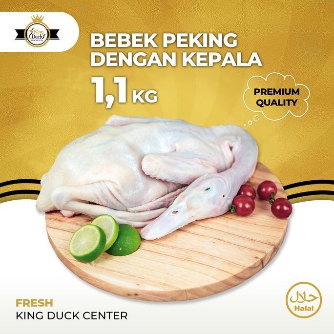 Daging Bebek King Duck Peking Hibrida Boss Bebek Peternakan Pemotongan