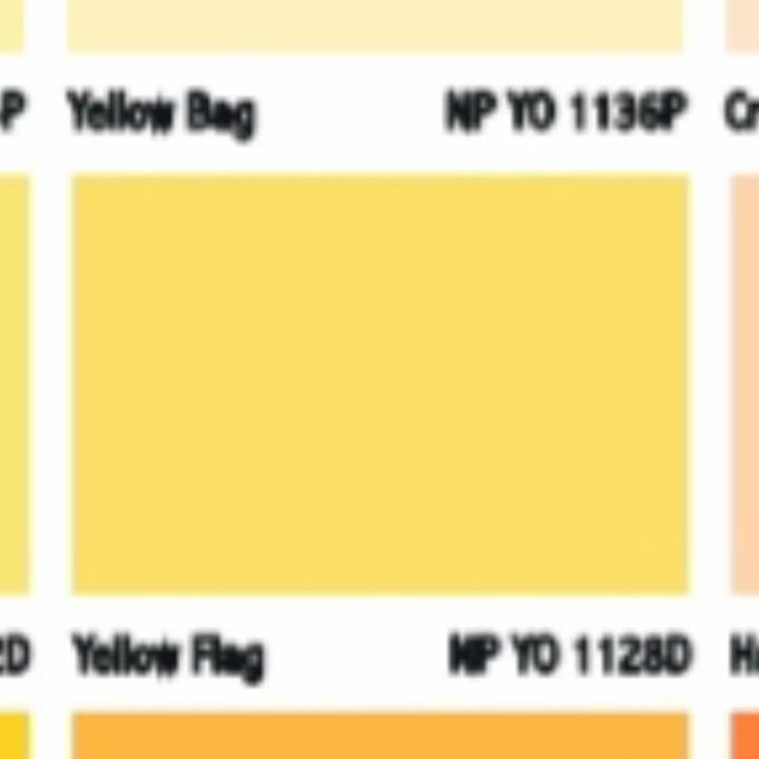 Nippon Elastex / Nippon Elastex Tinting Galon / Elastex Yellow Flag  Sale