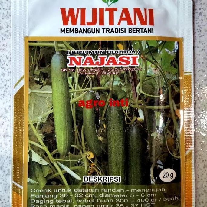 Benih timun hibrida NAJASI isi 20 gram dari Wiji Tani