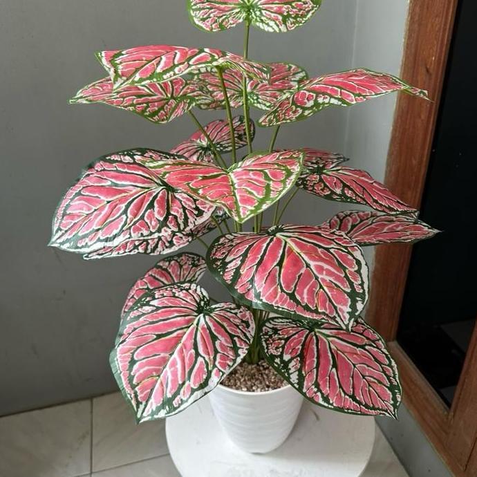 Tanaman Palsu Keladi Kode O + Pot
