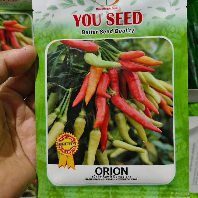 Benih cabe ORION 10 gram cabai rawit putih berdompol berangkai you seed rawet setan Hijau Merah