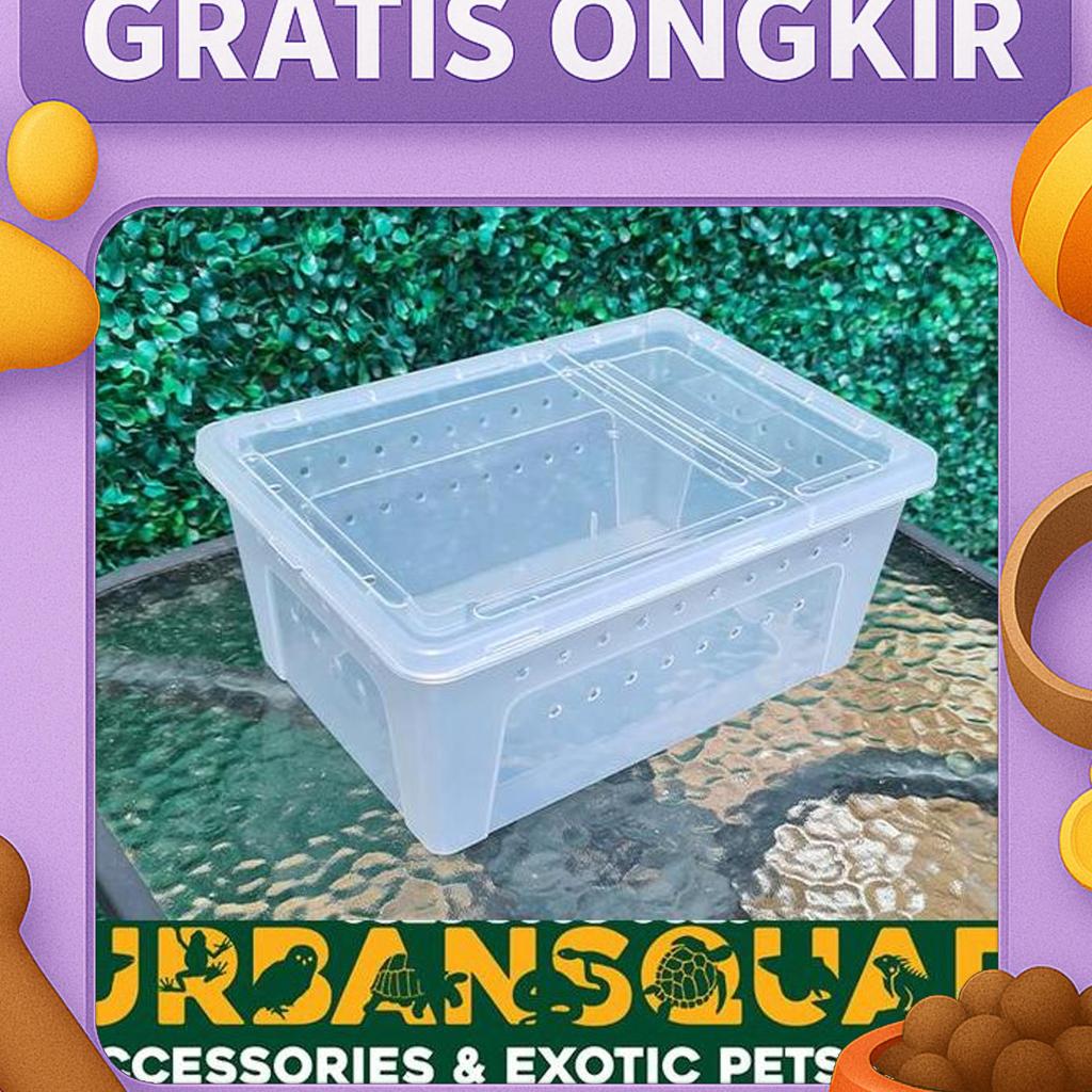 Box Bening M 25X11X18 Kandang Pacman Ular Ball Phyton Retic Kadal