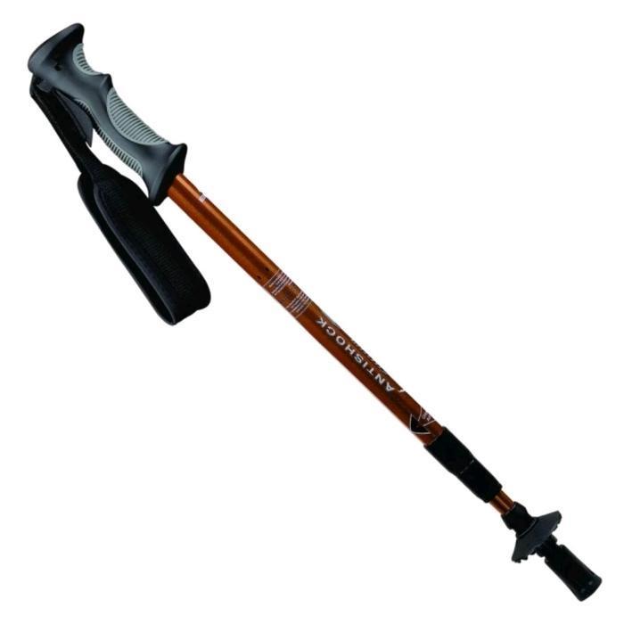 Eiger TREKKING POLE 2 Section