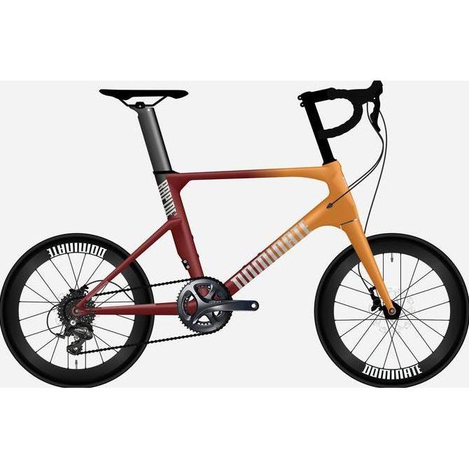 New- Sepeda DOMINATE RAPIDE Elite 2022
