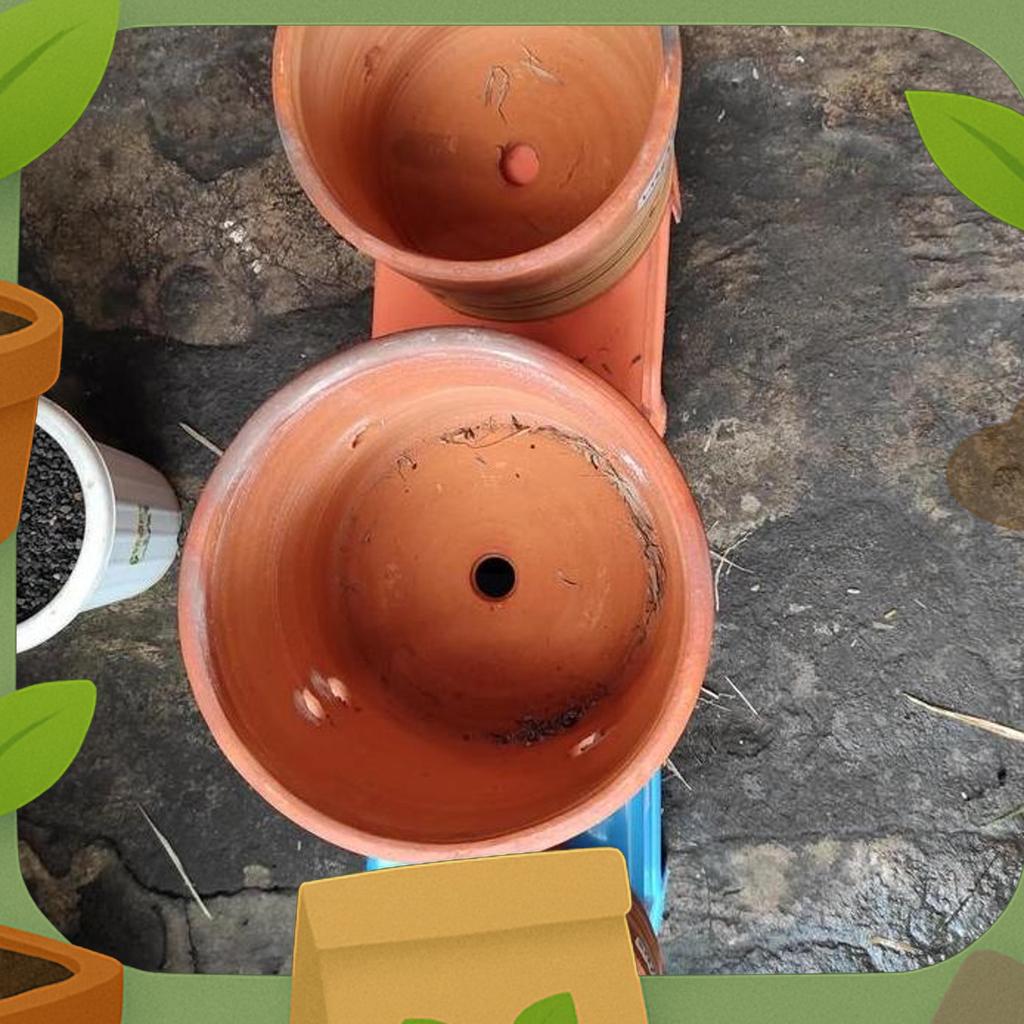 Pot Anggrek Tanah/Gerabah Liter Terakota