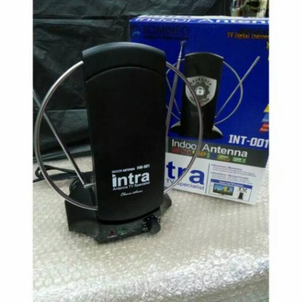Antena dalam intra
