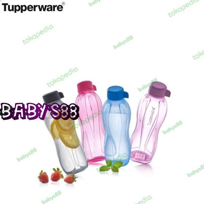 New- botol minum tupperware eco bottle tupperware 500ml