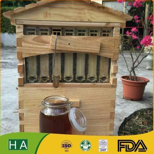 BEBAS ONGKIR - Stick Flow honey bee hive