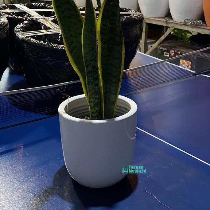 Pot Gerabah Mini / Pot Keramik Putih Glossy