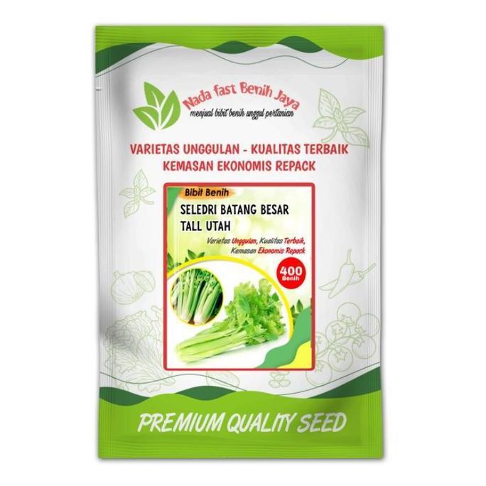 400 biji Benih seledri batang besar Celery Tall Utah - bibit Seledri Batang Besar