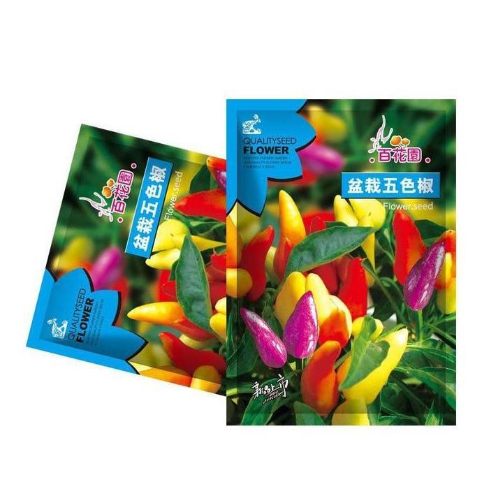 Benih Cabe hias numex Rainbow pelangi  250 benih Tanaman Cabai