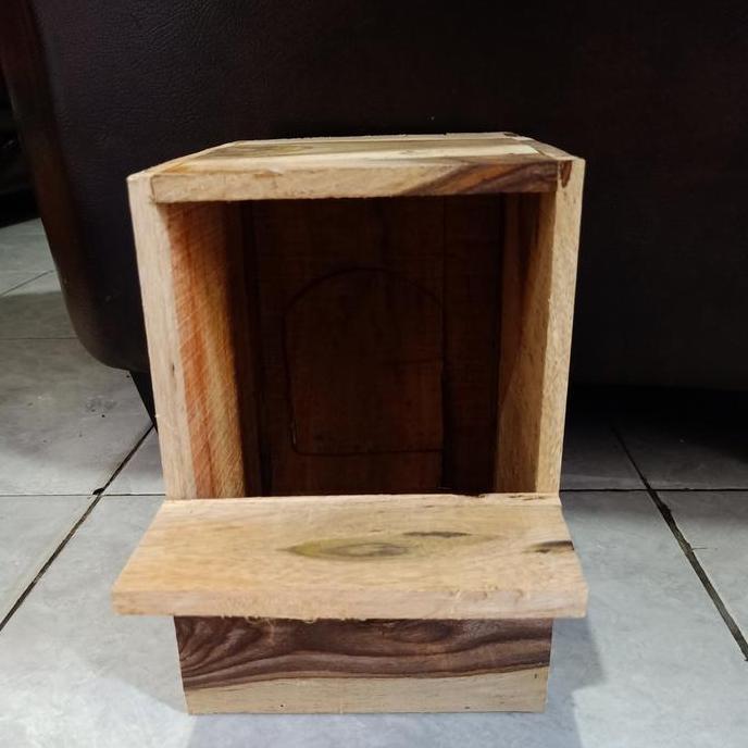 TERLARIS Glodok ternak murai kayu kotak - glodokan ternak murai kayu READY STOCK