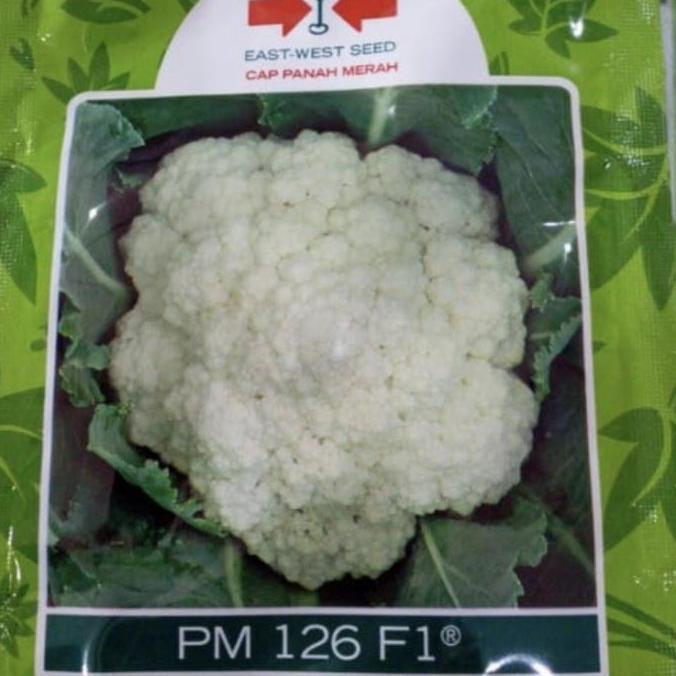 TERBARU - Benih bunga kol PM126 F1 10 gram bungkul hibrida pm 126 panah merah kembang kol pm126 f1 b