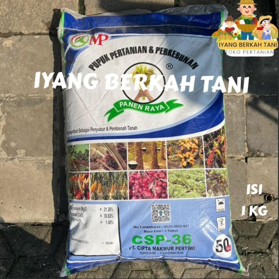 Bisa Cod Pupuk Tsp Csp 36 Sp Repack 1 Kg Pupuk Penyubur Semua Tanaman ||