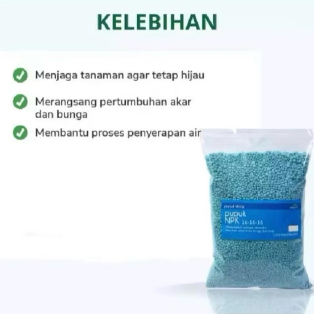 Bisa Cod Pupuk Npk (Nutrisi Pembenah Kualitas) Biru Padi Sawit Pelangi 16 1Kg Repack ||