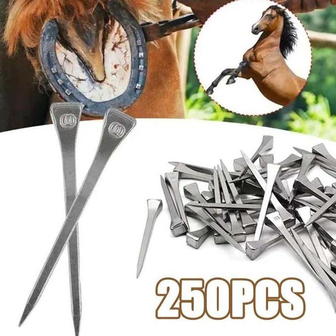250 PCS E3 PAKU KUDA STAINLESS STEEL PAKU SEPATU TAPAL KUDA PACU HINGGA TUNGGANG PAKU SEPATU KUDA PA