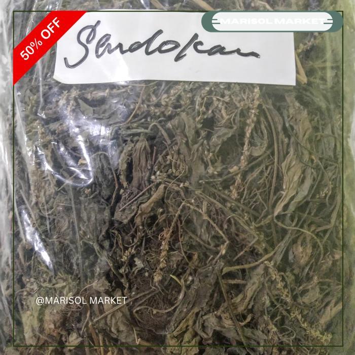 DAUN SENDOK KERING 500GR - DAUN SENDOKAN - KI URAT TERBAIK
