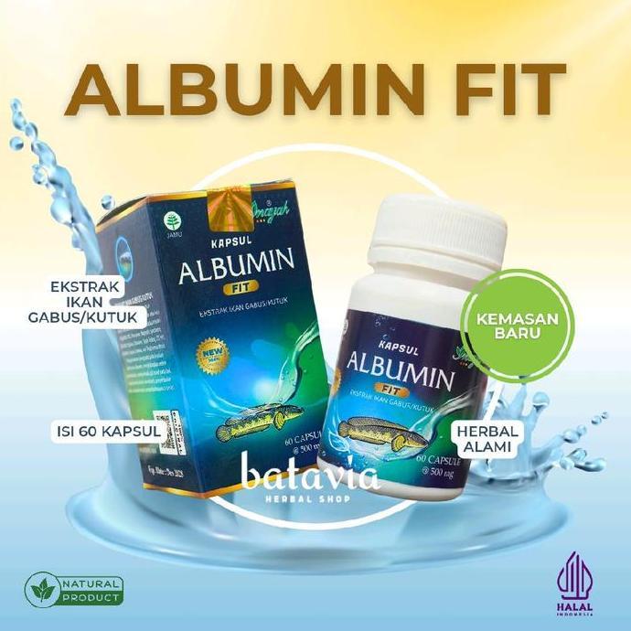 Healt- Albumin Fit Kapsul Ikan Gabus Kutuk Kapsul Albumin Ikan Gabus Original
