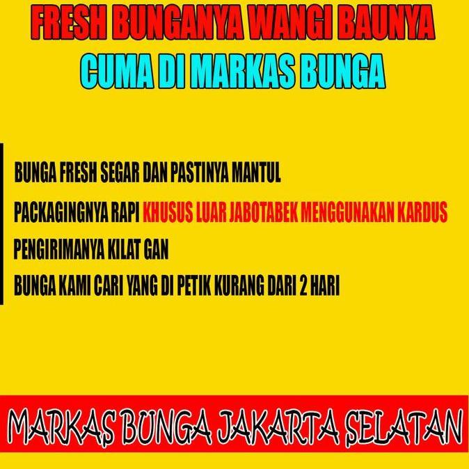 Flwr- Rose Petals / Kelopak Bunga Mawar Asli Segar