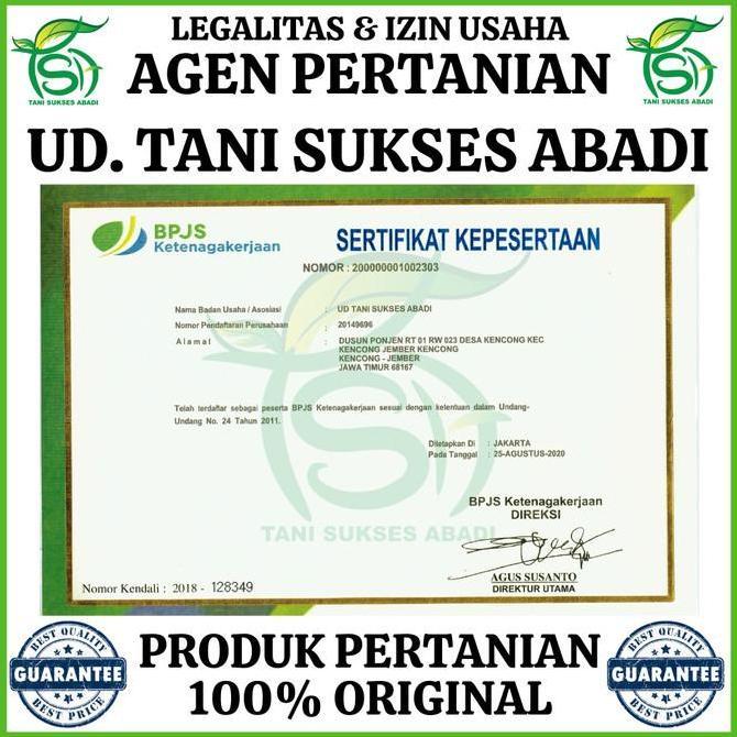 Expert- Benih AMELIA F1 (360 Biji) - Bibit Semangka Non Biji Cap Panah Merah