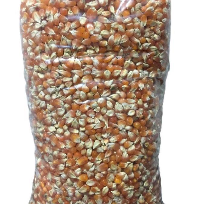 Britis- Jagung Kristal - Pakan Burung Dara - Makanan Burung Dara