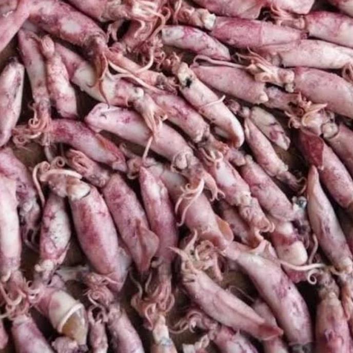 ASLI cumi asin kering 500g READY STOCK