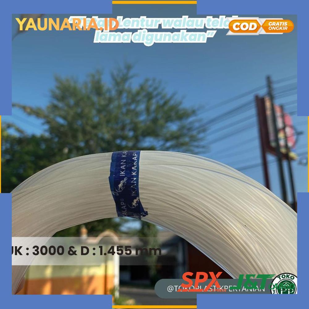 Senar Cap Ikan Kakap  Ukuran 3000 (120)  per Roll /Tali Senar Pancing / Senar Layangan - RO30-1312 2