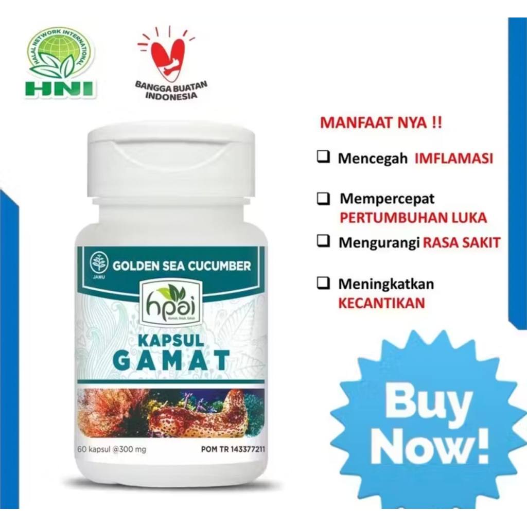 GAMAT HNI HPAI Kapsul Gamat Emas - Obat Pengapuran Tulang Lutut dan Sakit Sendi, Obat Nyeri Lutut Sa