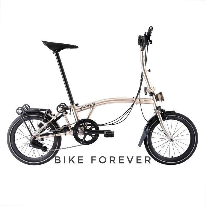 Terlaris Sepeda Lipat Element Pikes Chico Carbon