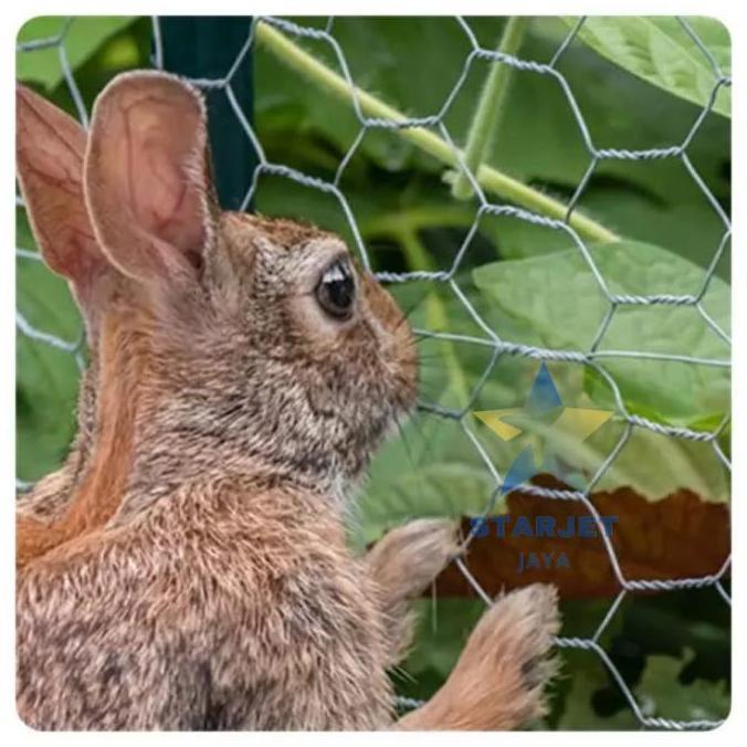 Prayer.Spray - Pagar Jaring Kawat Ram Galvanis Murah Untuk Kandang Ayam