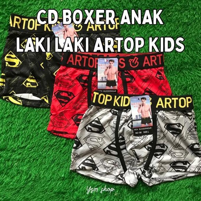 Lusinan CD BOXER ANAK LAKI LAKI SUPERHERO