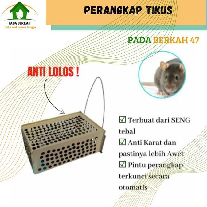 Perangkap Tikus Jebakan Tikus Kecil Perangkap Tikus Besi Tebal