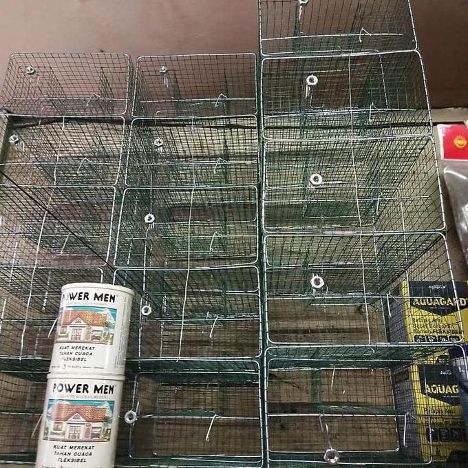 perangkap tikus massal jumbo jebakan tikus