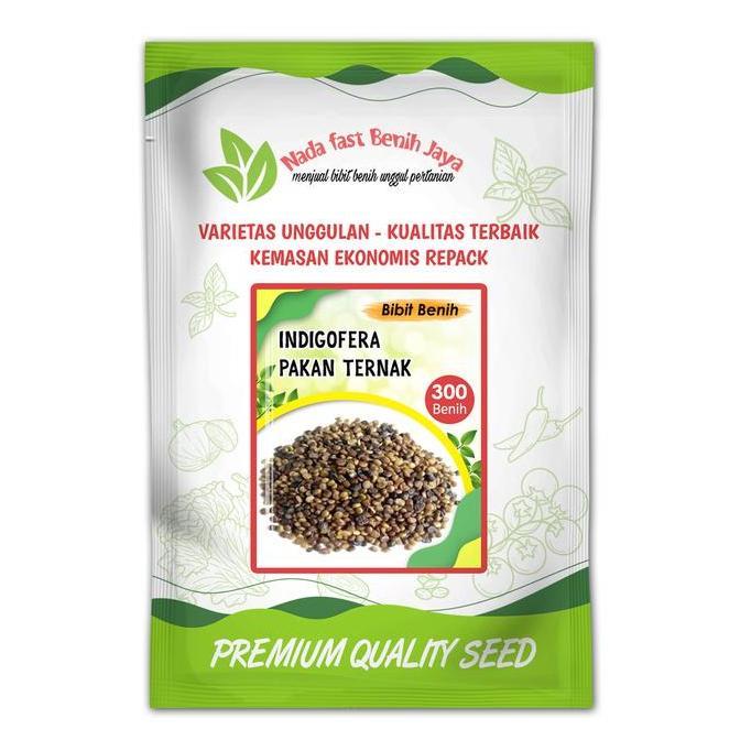 Benih Indigofera Pakan Ternak /bibit indigofera pakan ternak Tanaman Tumbuhan