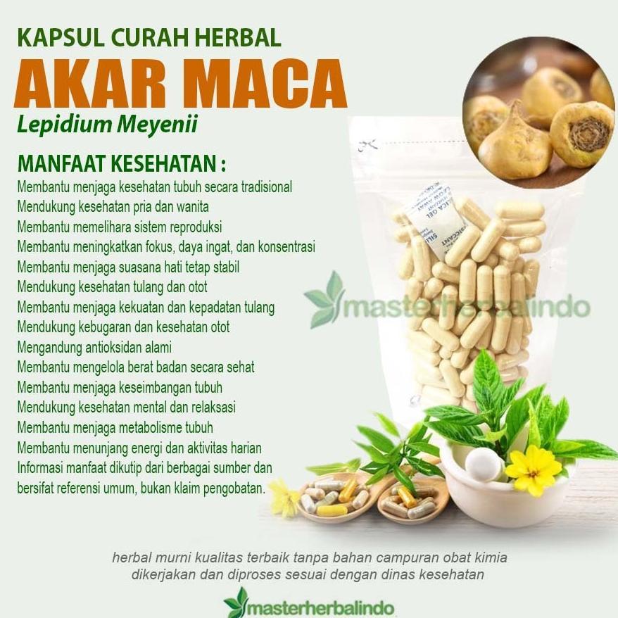 Snackwell Akar Maca 100 Kapsul Curah Herbal Penunjang Kebugaran Tubuh
