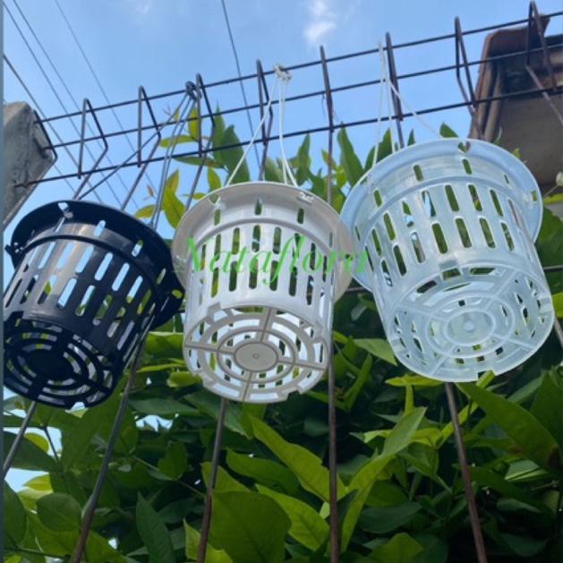 Promo Cod Ya Kak Pot Anggrek Gantung Netpot 15 Dan 17 Hitam Putih Bening Pot Nkt Netpot Gantung (Ter