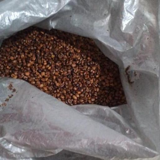 Rijek kopi murah arabika robusta 1kg