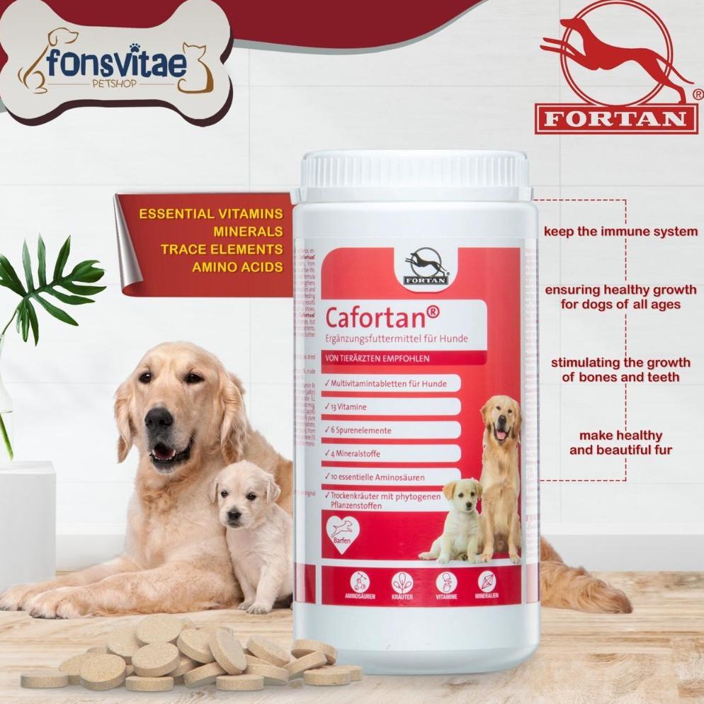 Fortan Cafortan 1000Gr Multivitamin Anjing