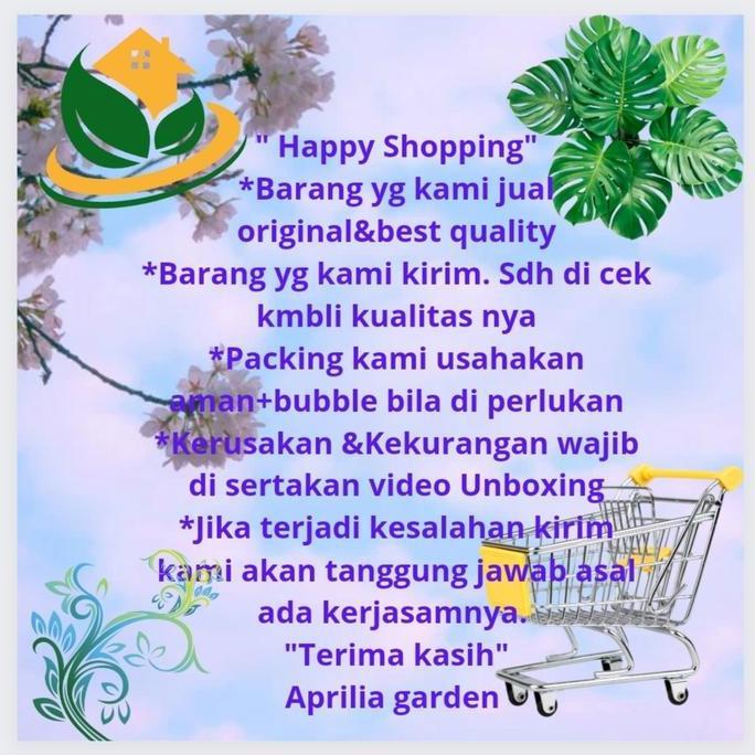 Benih Bibit Paprika Merah Cardinal Star 5Gr Original Known You Seed