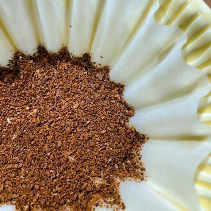 Ready TORAJA PANGO PANGO WASHED | COLLINS ROASTERS | FILTER SPECIALTY COFFEE