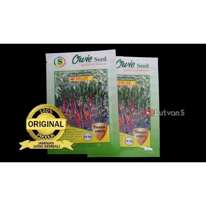 benih Cabe Keriting VELOZ Tahan Virus 15gr