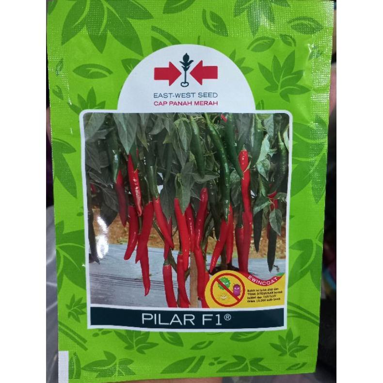 Benih cabe besar PILAR F1 1500 butir  Cap Panah Merah