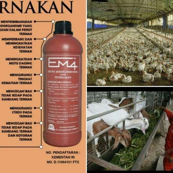 Brixd- Em 4 Em4 Peternakan Obat Probiotik Menggemukkan Hewan & Penghilang Bau