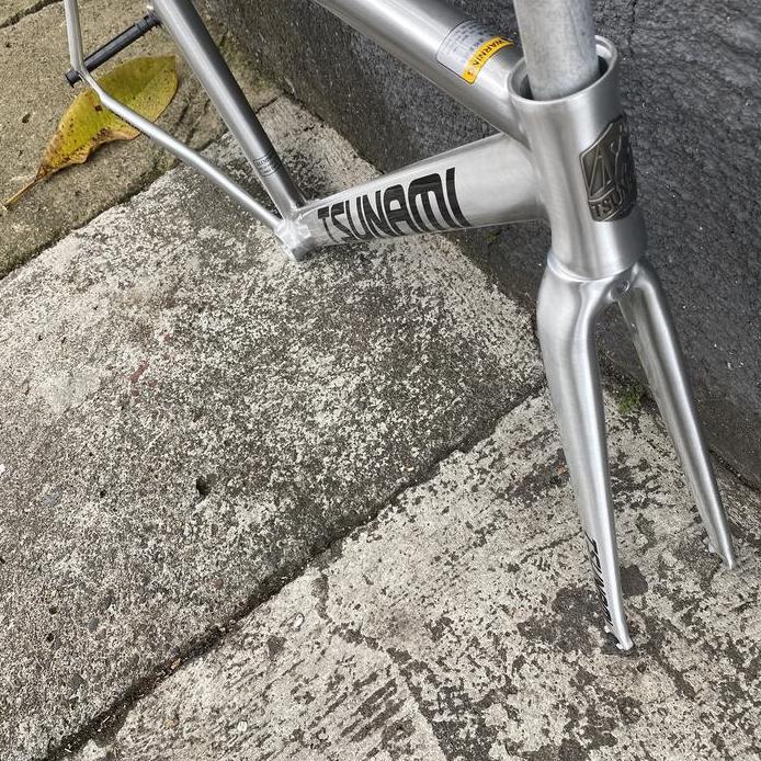 Frame tsunami SNM 100 alloy fixie polish