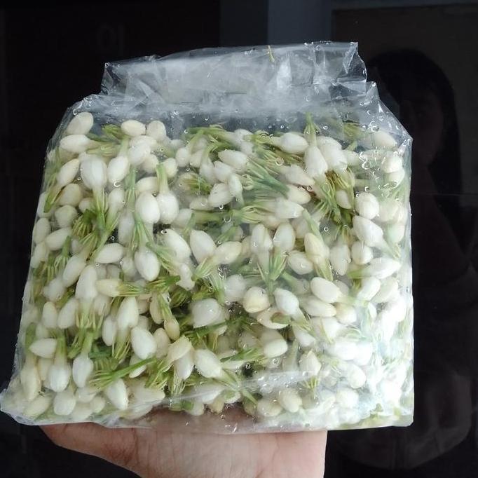 Flowbty- Bunga Melati Segar