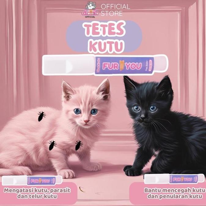 Lansungkirim- Obat Kutu Kucing Ampuh Dan Aman