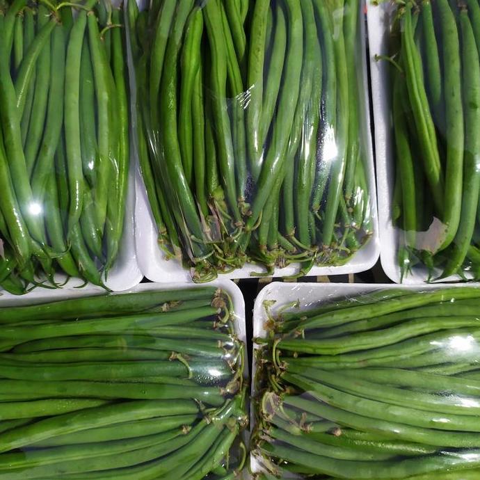 Veganxi- Buncis Kenya | Buncis Baby Kenya 250Gr/Pck + Gratis Bonus