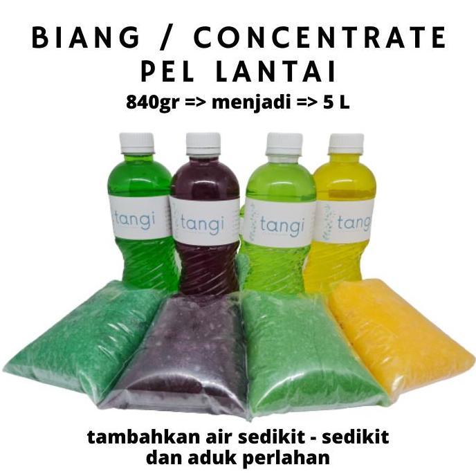 BIANG Sabun Pel Lantai / Floor Cleaner 5L