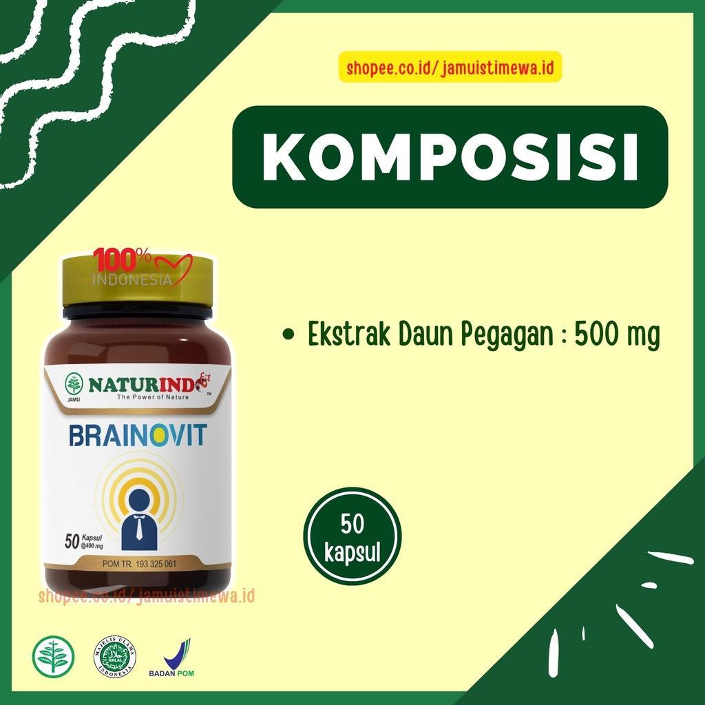 Suplemen Nutrisi Otak Tingkatkan Kecerdasan Daya Ingat Vitamin Otak Anak Cerdas Dan Dewasa Brainovit