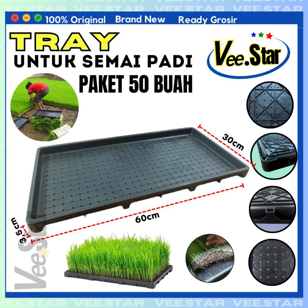 Bisa Cod Tray Semai Bibit Padi / Alat Semai Padi / Rice Seedling 50Tray .....
